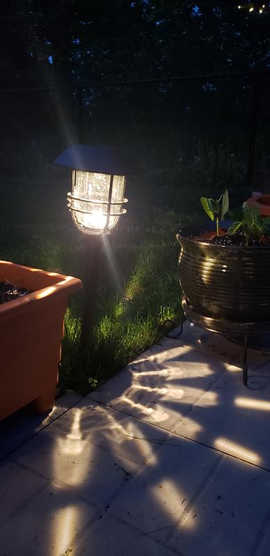 Photo - commentaire 7.