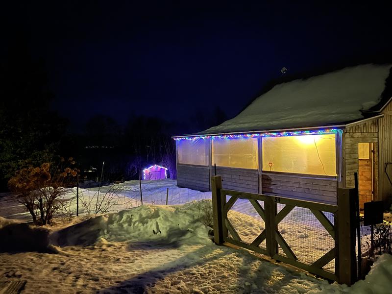 Photo - commentaire&nbsp;8.