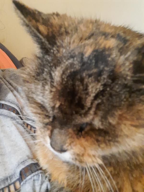 Photo - commentaire 5.