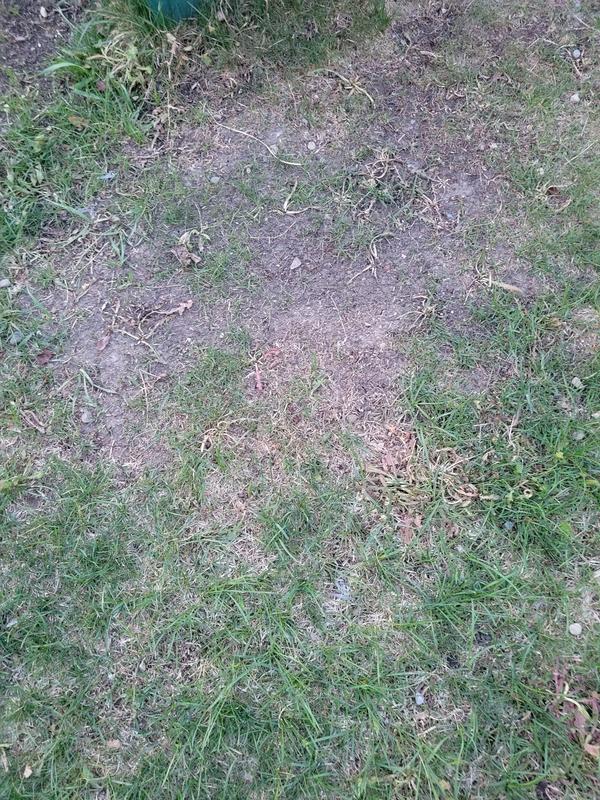 Photo - commentaire&nbsp;3.