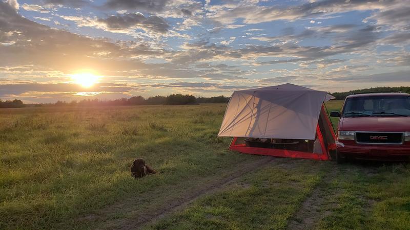 It's functional but needs improvement