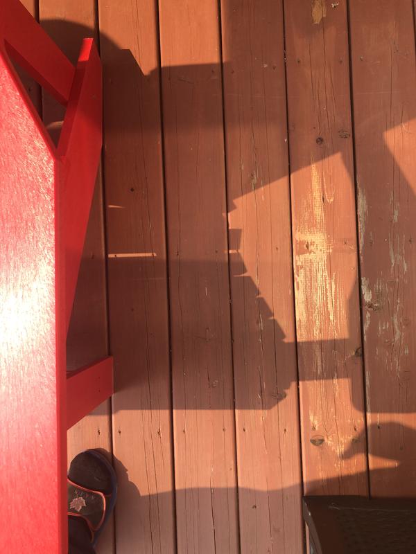 Photo - commentaire&nbsp;2.