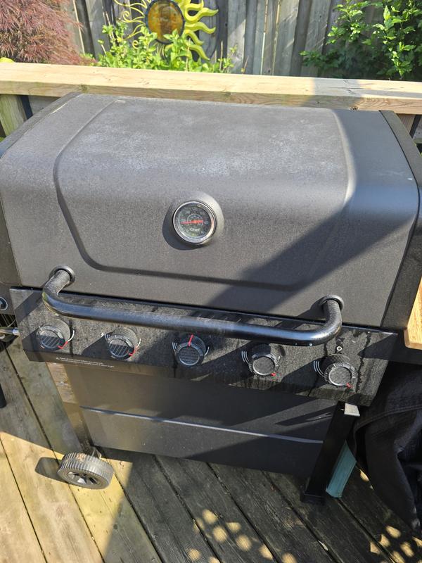 Bbq in question