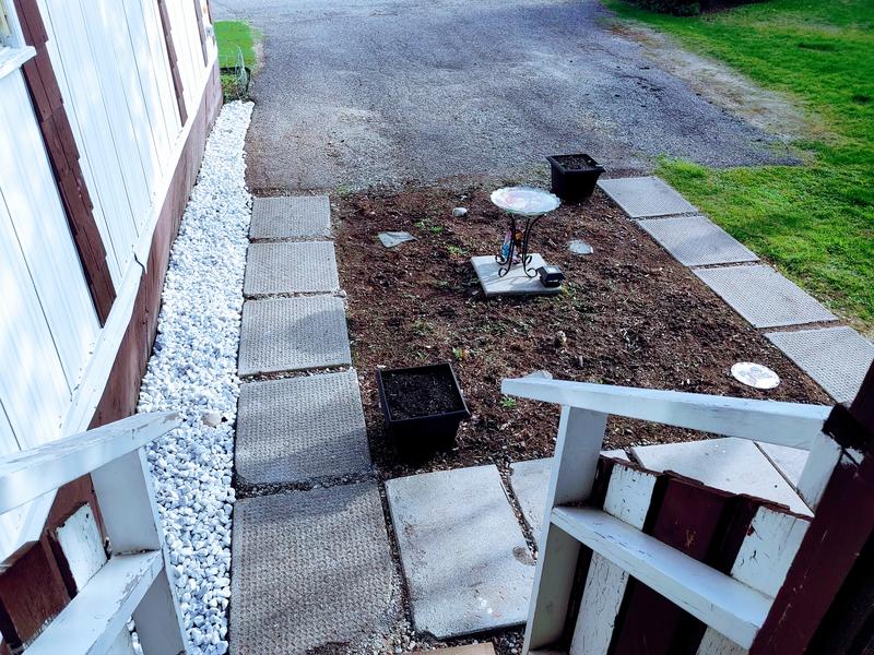 White rocks in action, love how they look!