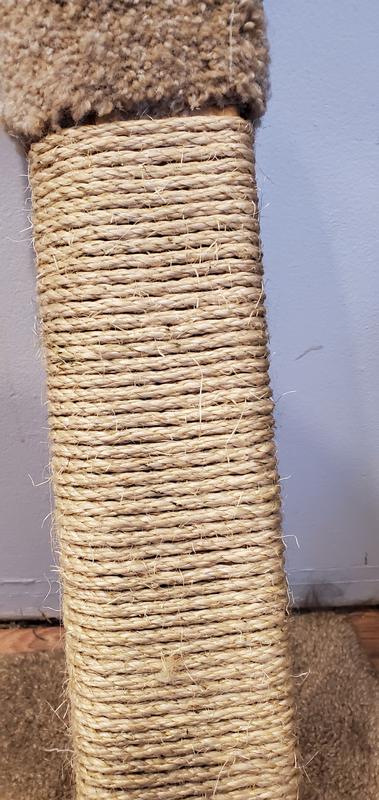 Photo - commentaire 2