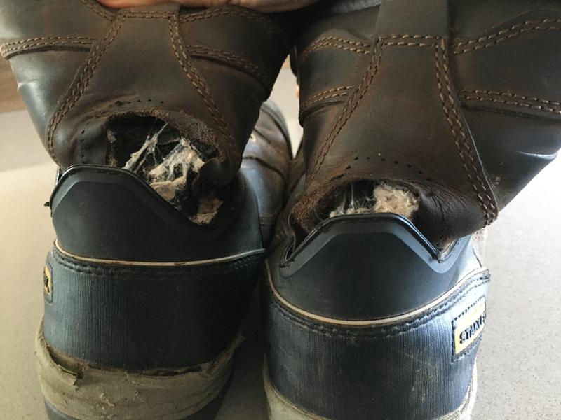 Photo - commentaire 8.