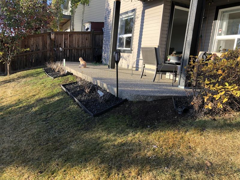 Edging around shrubs