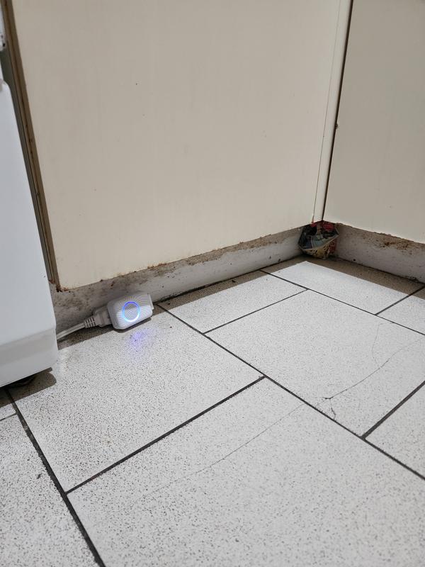 An the kitchen is less than 80 sq ft so ultrasound should be strong