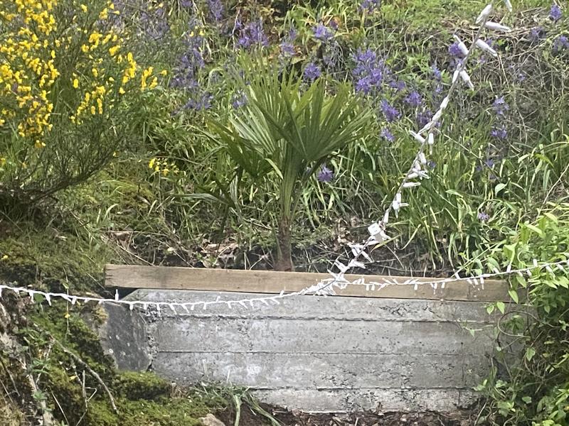 Photo - commentaire 2.