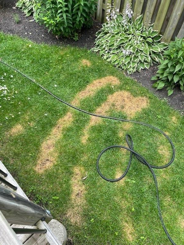 Photo - commentaire 1.