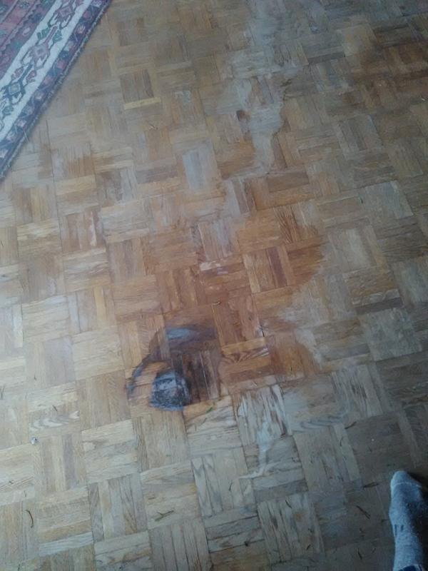 Our floors after using this tree stand