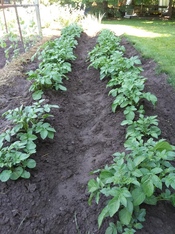 Photo - commentaire 3.