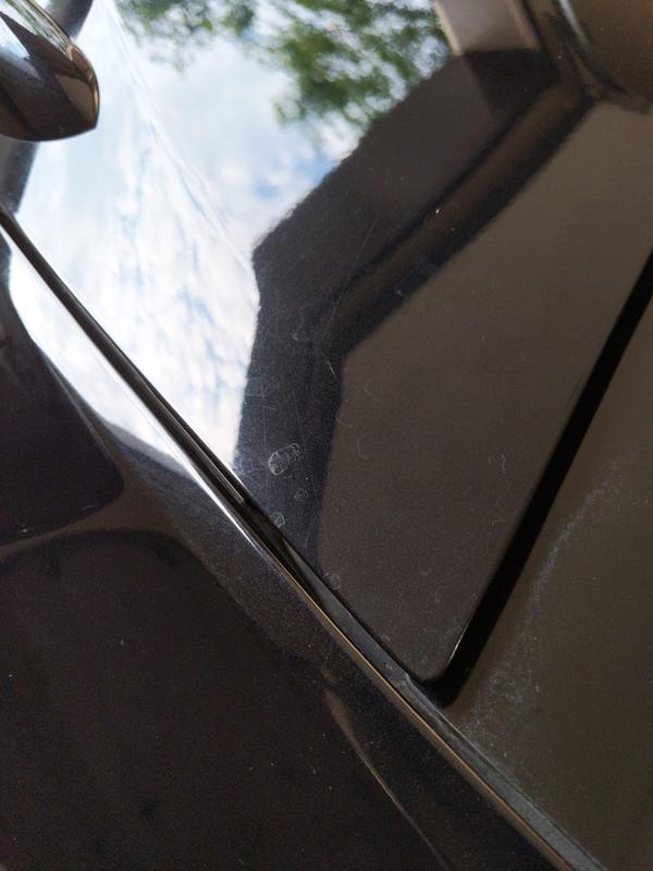 Even rubbing the spray on it doesn't help