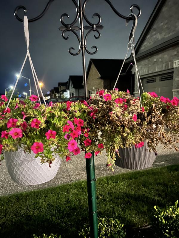 Hook with plants and both rebar and metal fence post reenforcement