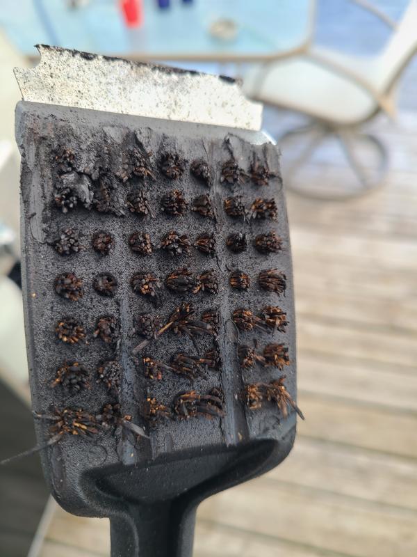 Photo - commentaire 1.