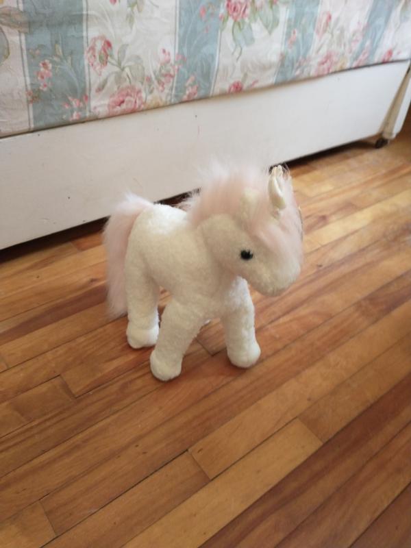 Clean laminate and hardwood floors safe for pets and kids!