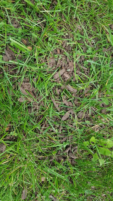 Photo - commentaire 7.