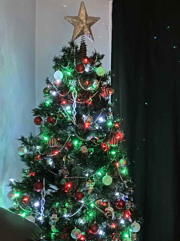 My tree
