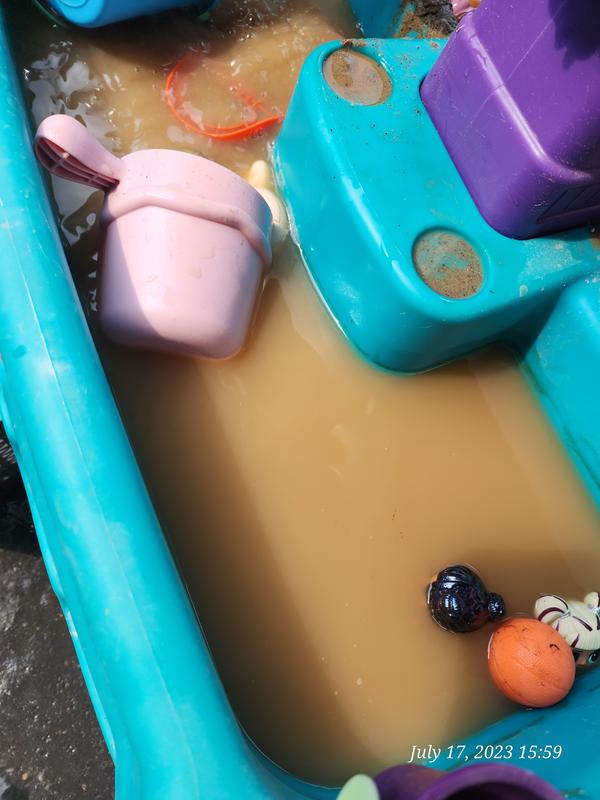 Photo - commentaire 7.