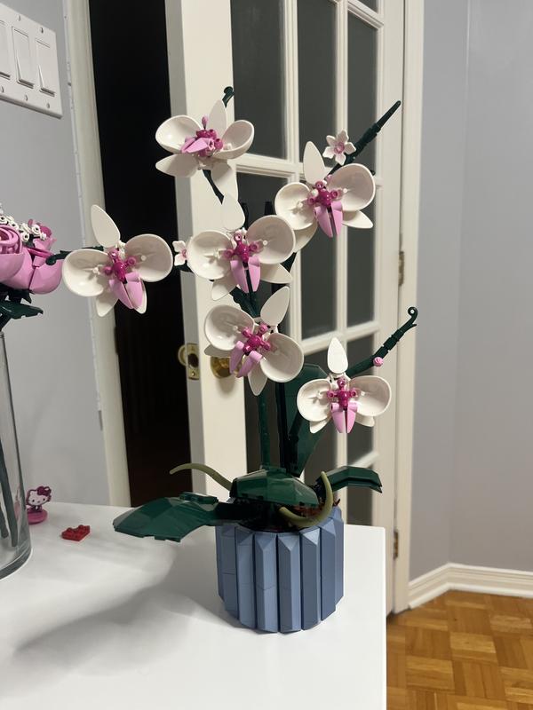 Photo - commentaire&nbsp;1.