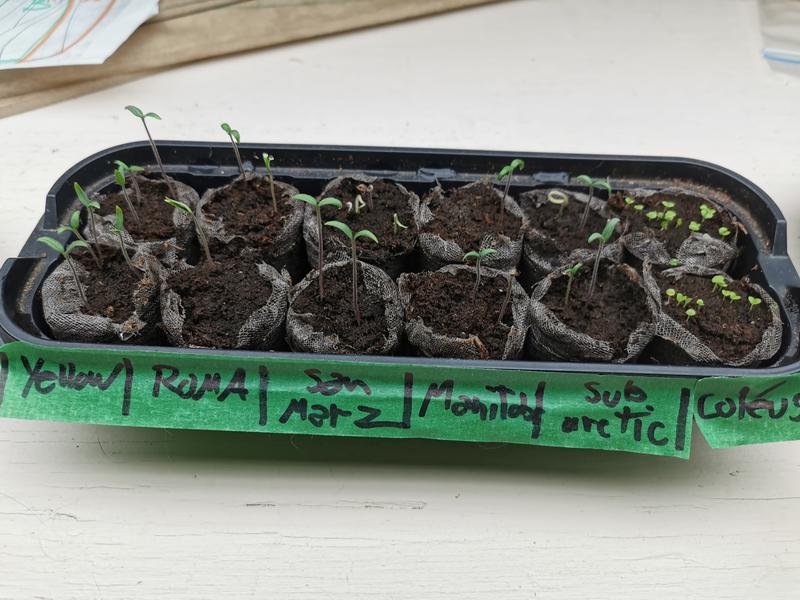 Photo - commentaire&nbsp;3.