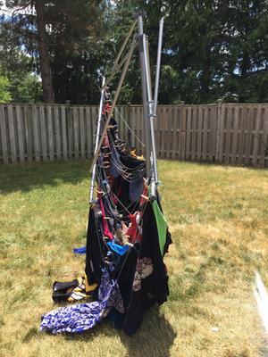 Less than 4 weeks old