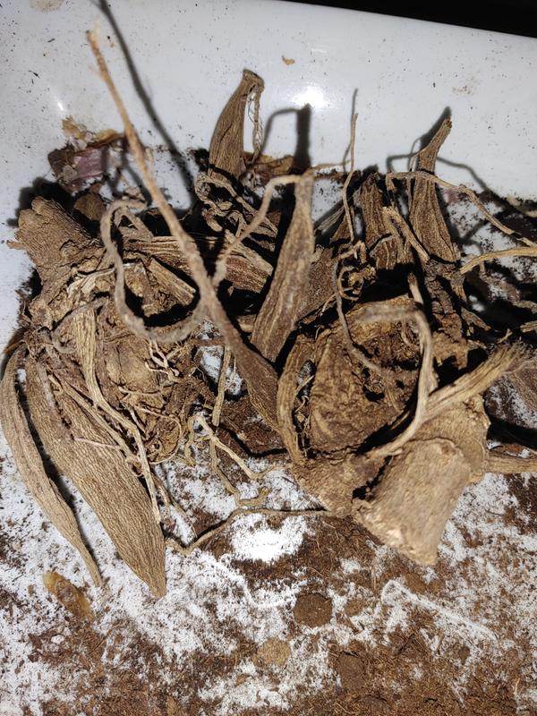 Photo - commentaire&nbsp;2.