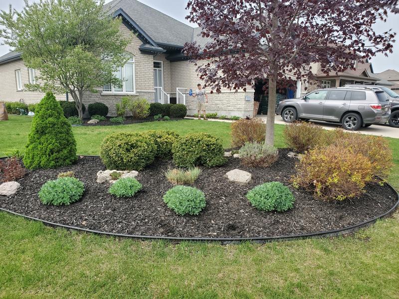 Photo - commentaire&nbsp;1.