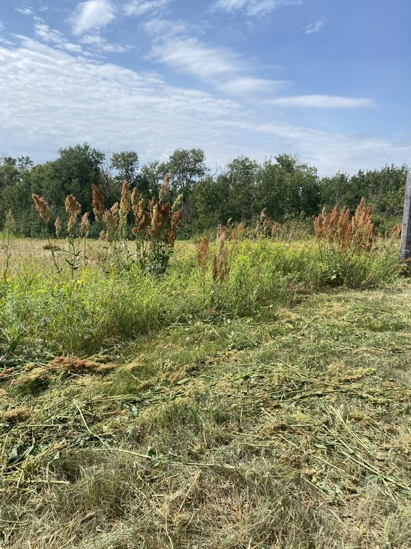 Photo - commentaire 2.