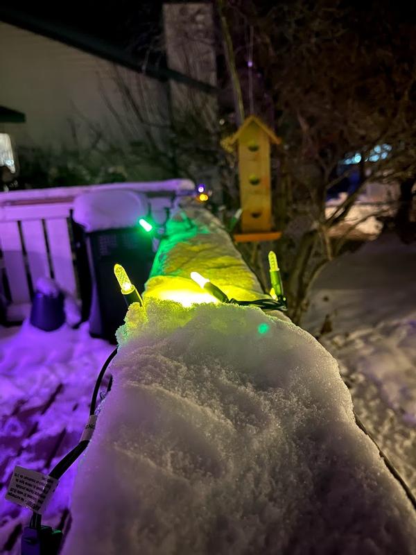 Lights "off" with the bugged lights staying on.