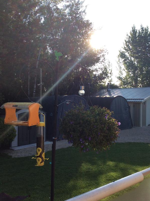 Photo - commentaire 2.