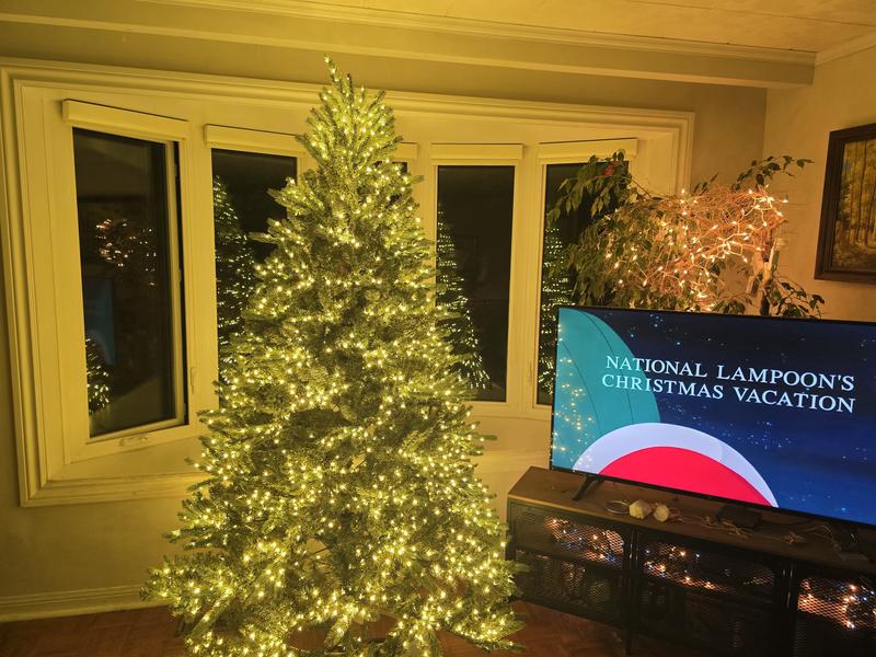 Photo - commentaire 4.