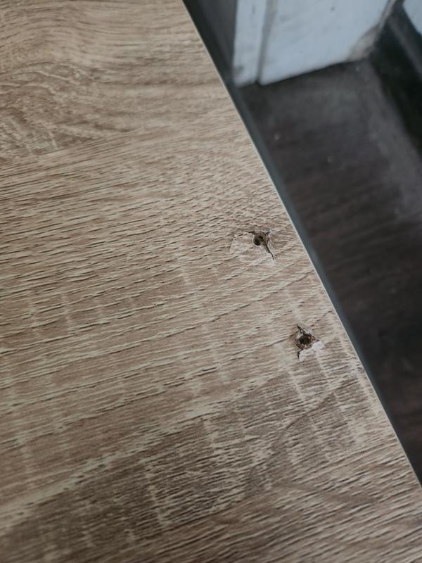 Screws ripped out of door