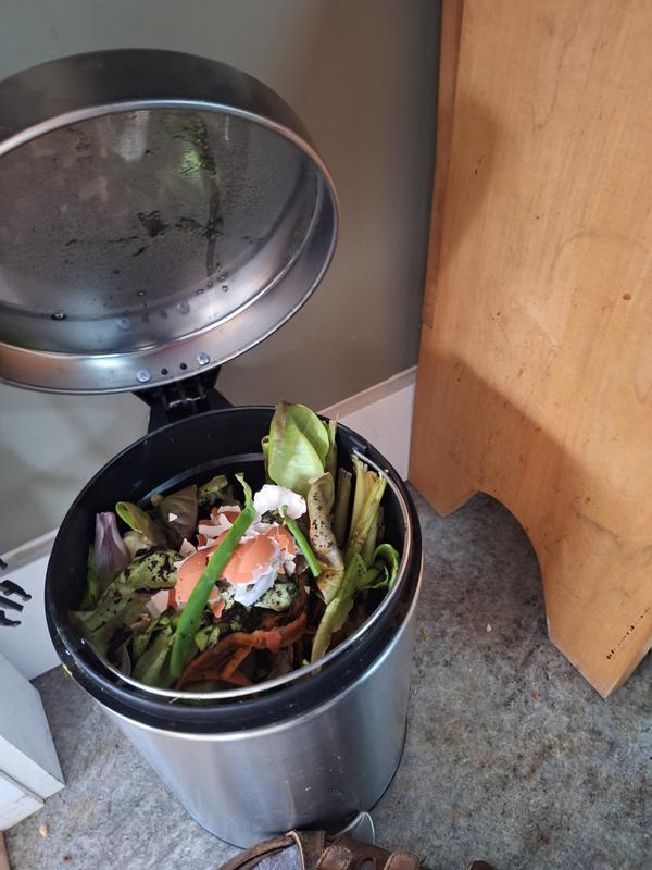 Compost pail