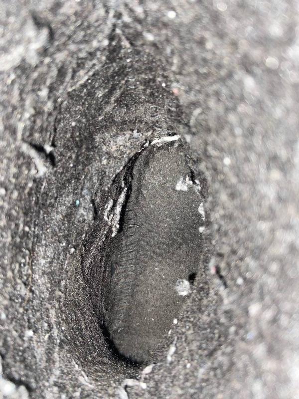 Photo - commentaire 4.