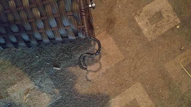 After bending the hooks to fit