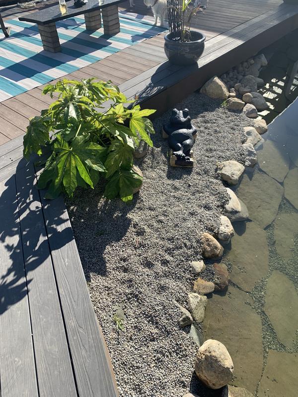 Time to find a beach and relax