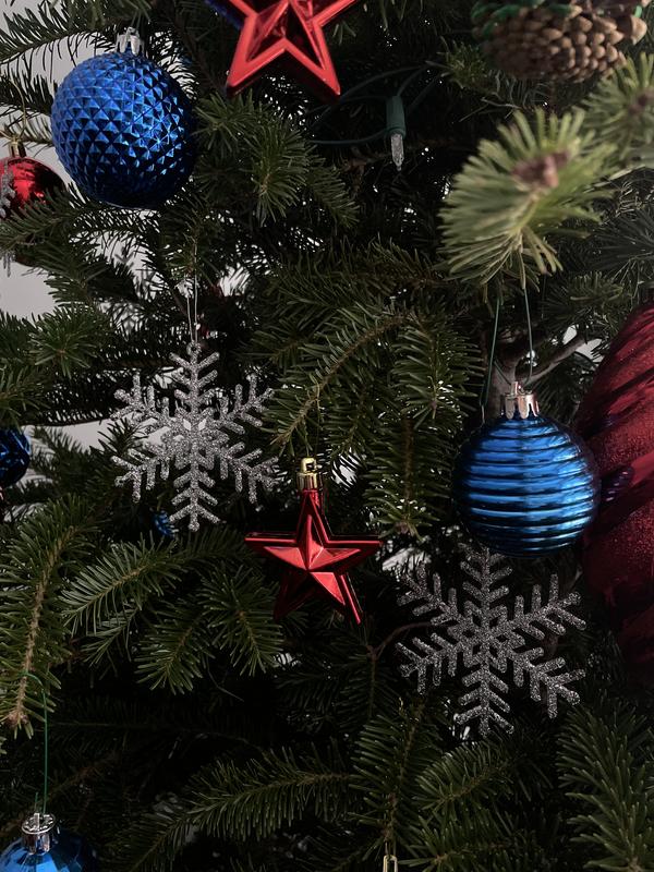 Photo - commentaire 1.