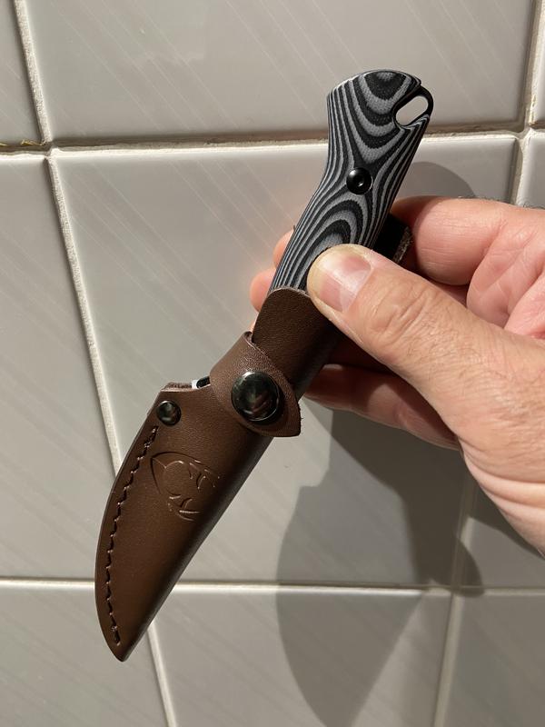 Photo - commentaire 6.