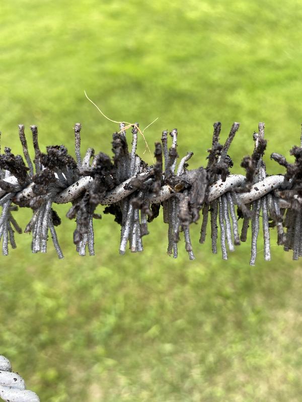 Photo - commentaire 2.