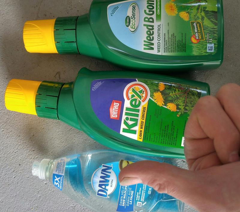 Photo - commentaire&nbsp;1.