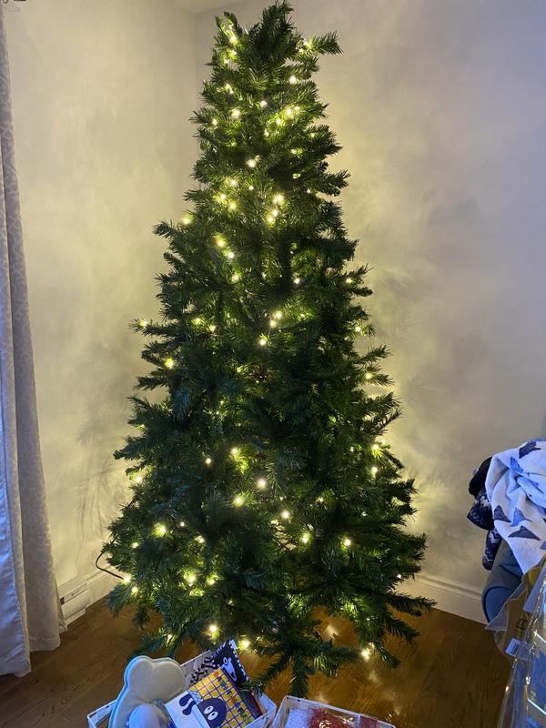 Don’t buy this tree.