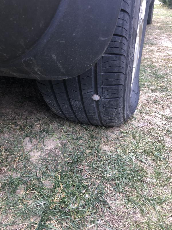 Photo - commentaire 1.