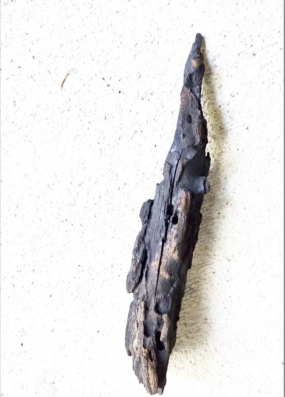 Photo - commentaire 1.