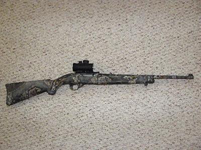Ruger 10/22 with Red Dot
