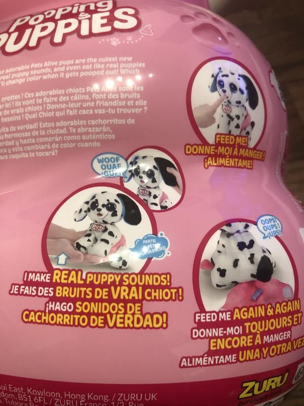 Photo - commentaire&nbsp;6.