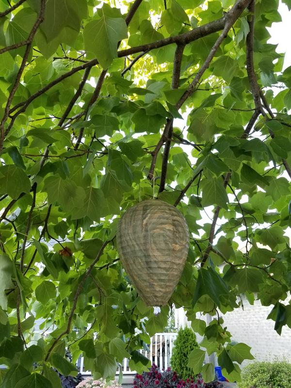 Photo - commentaire&nbsp;6.