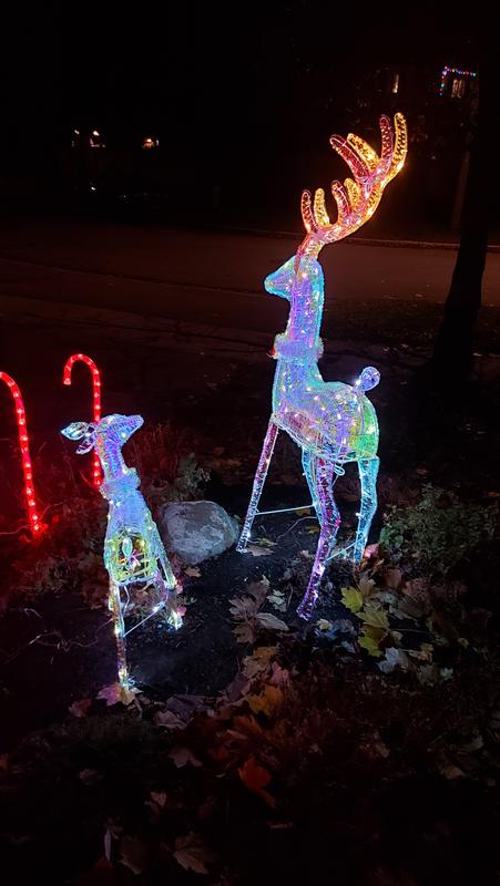 Photo - commentaire 4.