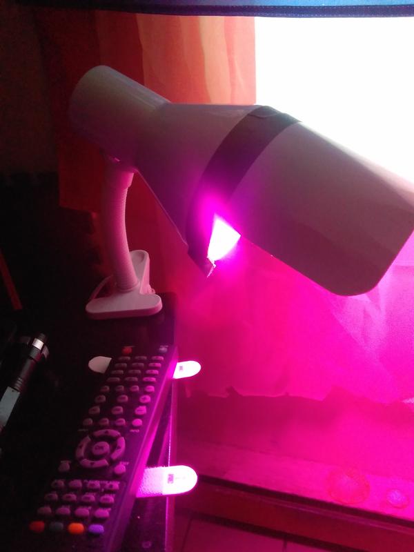 Photo - commentaire&nbsp;1.