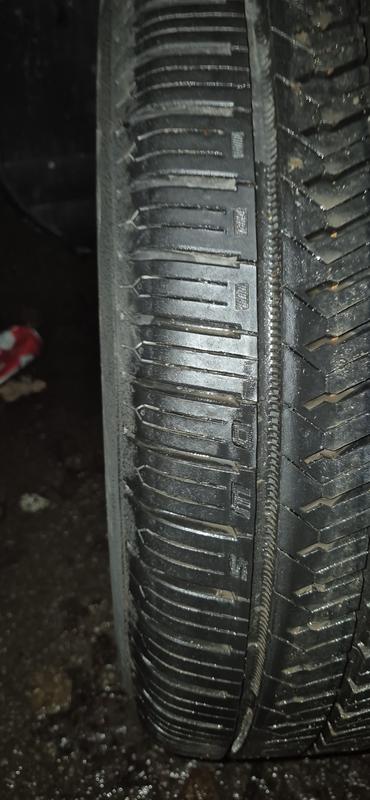 This is the outer of my front left. The DWS and 3 rectangles are on the inner as well as on the opposite side 180 degrees.